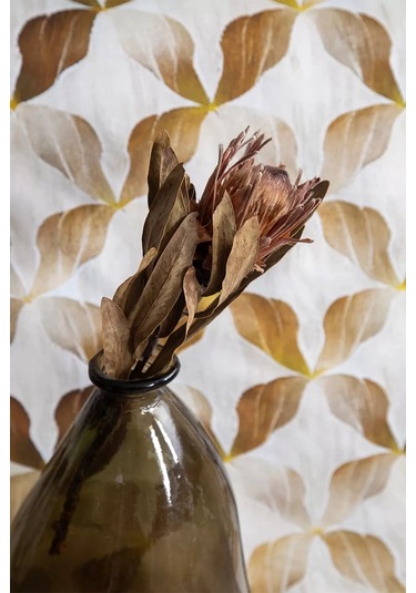 İssimo Home İllusion %100 Pamuk Saten Çift Kişilik Nevresim Takımı Kahve - Bej