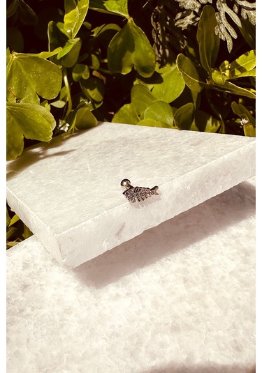 Balık Model Zirkon Taşlı Özel Tasarım Gümüş Renk Stainless Steel Çelik Tragus Helix Piercing