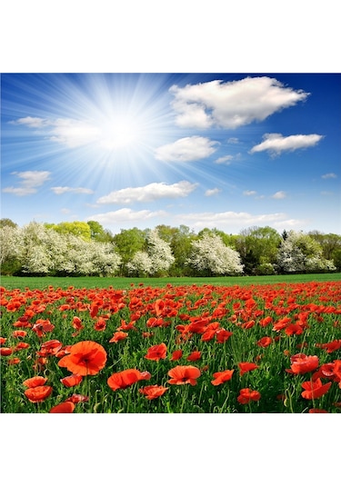 Bahar Çiçekleri Doğal Taş Bardak Altlığı 4'lü Set - Natural Stone Coasters - Taş Çok Renkli