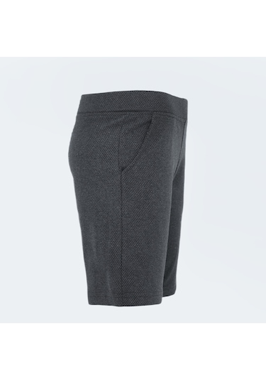 Slazenger IRMUSKA IN Kadın  Koyu Gri Şort