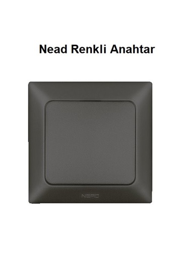 Nead Renkli Anahtar Çerçevesiz