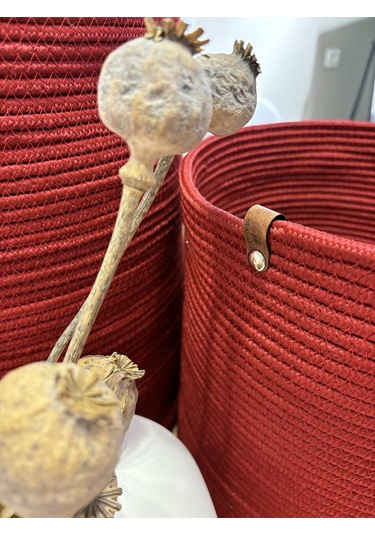 Rover Çok Amaçlı Düzenleyici Sepet, Saksılık, Organizer 20-26, Küçük Boy Kırmızı