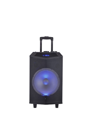 Oyility Dk-15 15'' Telsiz Mikrofonlu Taşınabilir Ses Sistemi