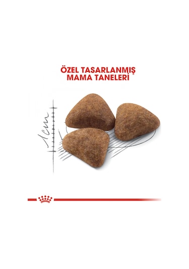 Royal Canin Indoor 27 Evde Yaşayan Yetişkin Kedi Maması 2 KG