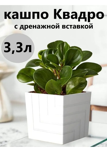 Live-in-green 3 Litre Otomatik Sulu Diyabetik Çiçek Saksısı 146167293