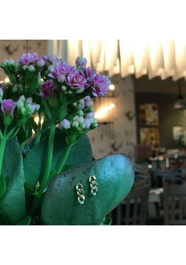 Mini Retro Chain Küpe Gold