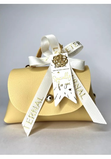 Beauty Aksesuar Hediye Paketi Çanta Para Kartı 211705891