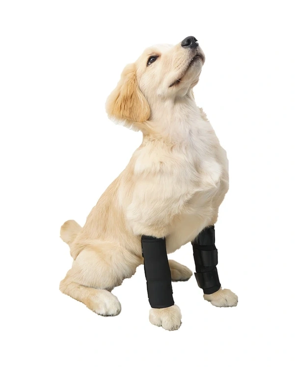 Gateesat Siyah 2li Orta Boy Köpek Dizlik Seti - Yaralanma Burkulma Koruma