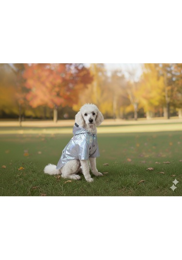 Kedi - Köpek Kıyafeti Kapşonlu Platin Yağmurluk & Mont