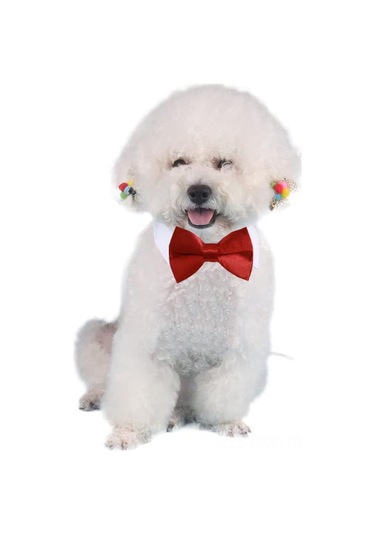 Ruicoo Köpek Kedi Yeşil Paspas Bantlı Bağcıklı Ayarlanabilir Tabanlı Grooming Aksesuarı S 24-30cm Boyun Çevresi - Cw17