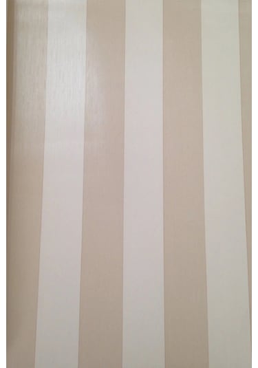 Bien Exclusive Çizgili Desenli Duvar Kağıdı 9303