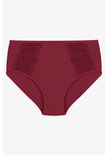 Kadın 3 Lü Dantel Detaylı Pamuklu Külot Ko40806 Çok Renkli