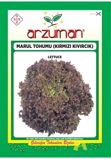 Arzuman Kırmızı Kıvırcık Marul Tohumu 5 G