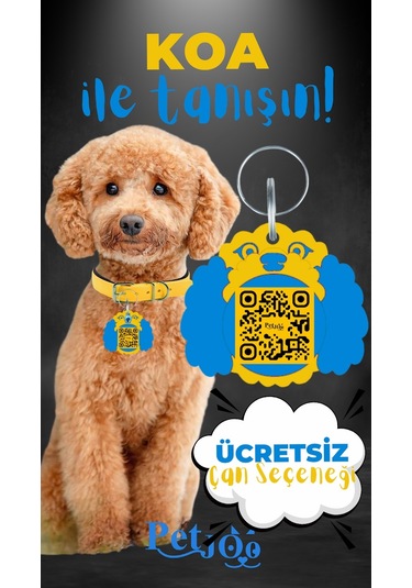 Petjoo 14.Koa Mavi-Sarı Qr'lı Köpek Künyesi