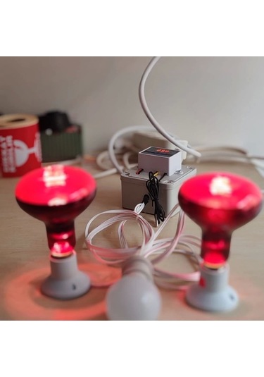 Ana Kucağı Isıtıcı Set 2 Adet 100 W Infrared Isıtıcı, Dijital Termostatlı . 1 Adet Aydınlatma