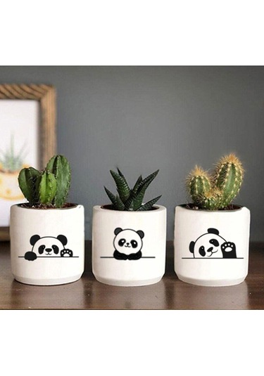 Panda Desenli Saksı Sukulent Ve Kaktüs Saksısı Pandacık