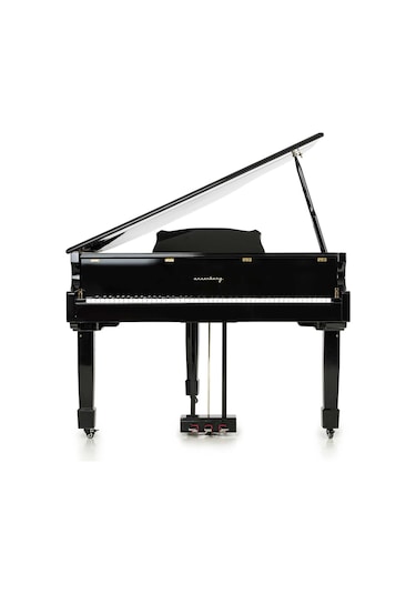 Arsenberg Speyer Agp150b Siyah Grand Piyano