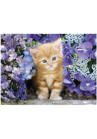Clementoni Zencefil Kedi 500 Parça Puzzle