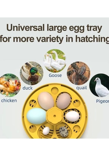 Mini Otomatik Ev Tipi Kuluçka: Elektrikli Tavuk Ve Kuş Kuluçka Makinesi 6 Yumurtalı