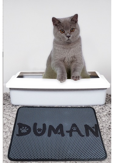 Kedi Kumu Paspası, Elekli  Duman