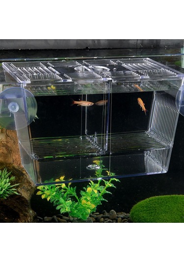 Suntek Emme Bardağı Ile Balık Yetiştirme Kutusu Palyaço L