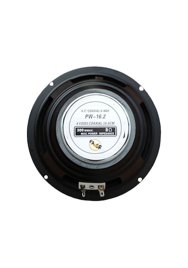 16 Cm Çıplak Hoparlör 6.5" - Pw-16.2