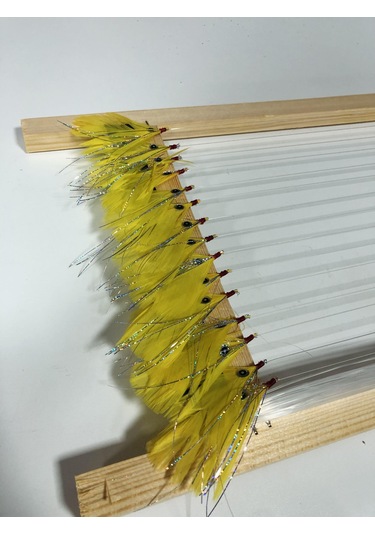 Palamut Çaparisi - Sarı