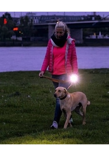 Lichen Ultrasonik Köpek Kovucu Taşınabilir Köpek Eğitmeni Barker