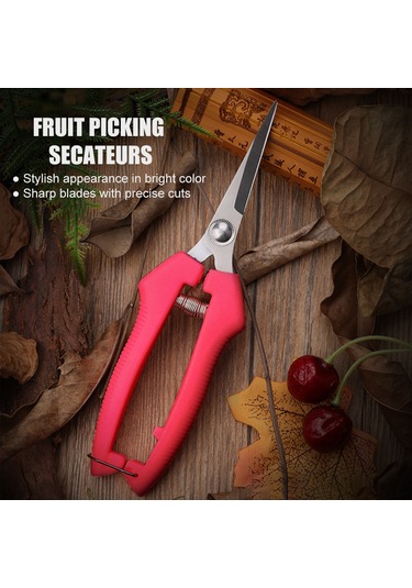 Symbee Kırmızı Mini Eğik Uçlu Gıda Kesici - Paslanmaz Çelik Bahçe Meyve/ütü/çiçek Budama Makası Güvenlik Kilidi, Kolay Kullanım