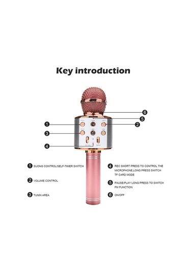 Mufunye Profesyonel Bt Kablosuz Mikrofon Karaoke Hoparlör Ktv Müzik Çalar Şarkı Kaydedici El Mikrofonu Mavi