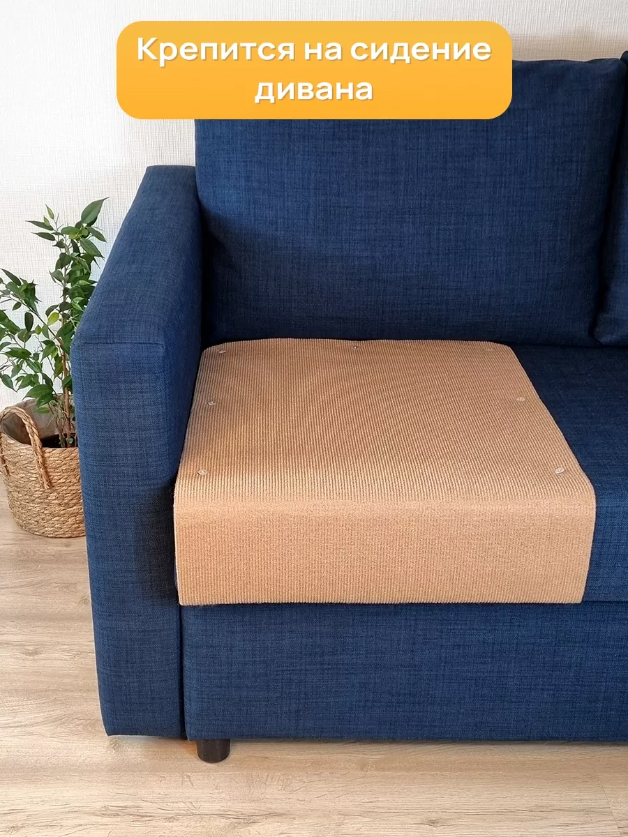 Aseliadia Kedi Kınağı - 80x50 Cm Kanepe Tipi 206357375