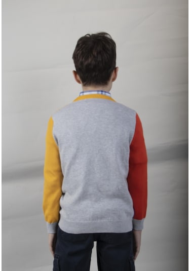 Alexandergardı Desenli Çocuk Triko Kazak C21-18677 01 001