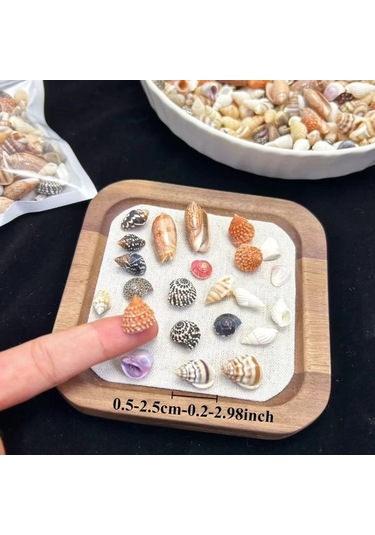 Willowhaven 50g Mini Deniz Kabuğu Kumu - 12 Farklı Renk Dıy El İşi, Akvaryum Dekoru