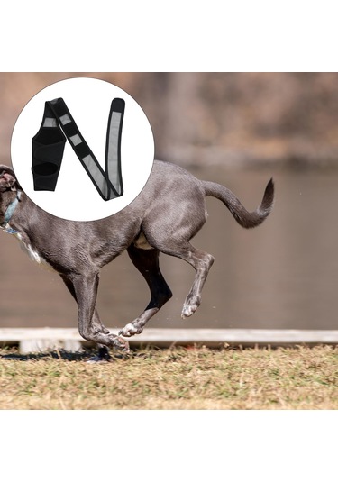 Homyl Köpek Arka Bacak Hock Koruyucu Kılıf Yaraları Korur M
