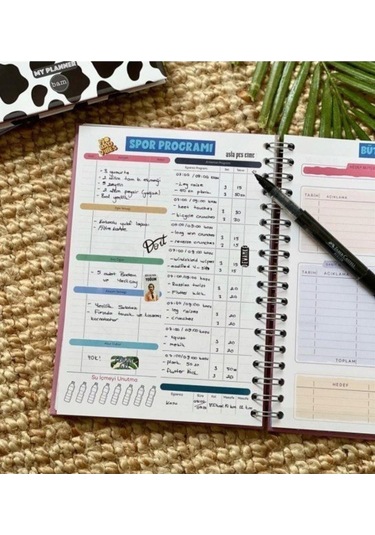 Çilek Believe in Your Dreams Tasarımlı Spiralli Sticker'lı Konuşan Ajanda Haftalık Planlayıcı Pembe