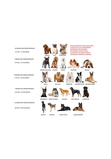 Köpek Tasması Gövdelik Ve Göğüslük Otomatik Toplama Mavi-l Mavi