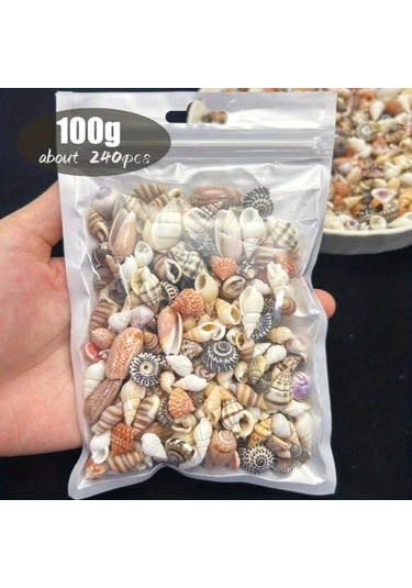 Willowhaven 50/100g Renkli Mini Kabuk Kum Karışımı - 12 Çeşit Dıy Hobi Akvaryum Dekoru