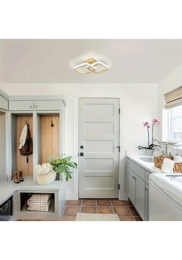 Fastbuy Y Yonca Tasarımlı Led Tavan Işığı - 3 Renkli Parlaklık Ayarı - Mutfak, Yatak Odası Ve Oturma Odası İçin Gümüş Gümüş