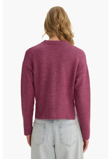 Defacto Regular Fit Bisiklet Yaka Düğmeli Hırka F3031ax25wnpr160 Mor