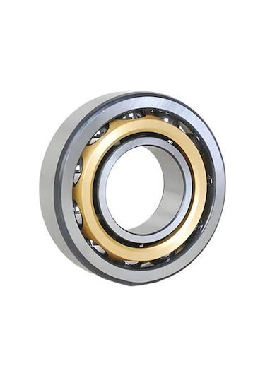 Gea 0011-7305-100 Rulman