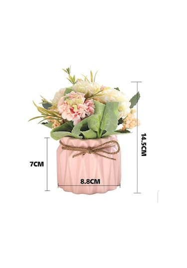 Florada Şeker Renkler Çiçeksiz Dekoratif Sukulent Ve Kaktüs Saksı Seti, Sunumluk 4'lü