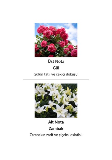 Alescia St-118 Kadın Parfüm EDP 50 ML