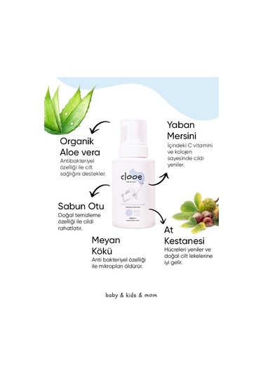 Clooe Organik El Temizleme Köpüğü Yaban Mersini Aloe Vera Meyan Kökü İçerikli 300 ML