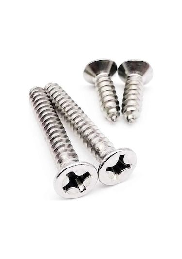 3,5x25 Mm Galvanizli Sunta Ve Ağaç Vidası 200 Adet