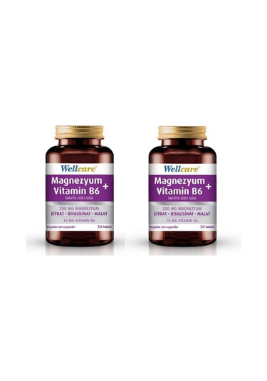 Wellcare Magnezyum Vitamin B6 Takviye Edici Gıda 2 x 30 Tablet