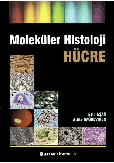 Moleküler Histoloji Hücre