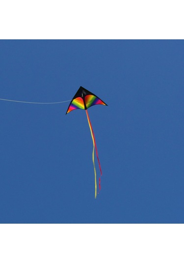 Suntek Dev Delta Uçurtma Fly Uçurtma Windsock Üçgen Uçurtma