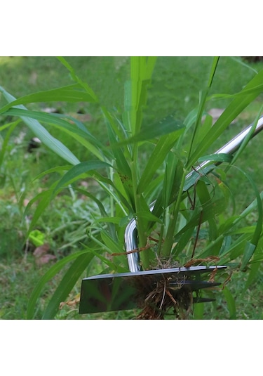 Suntek Ot Çektirme Keskin Çok Fonksiyonlu Meşe-sapı-31cm