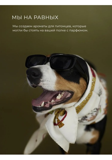 Entle Kedi Ve Köpekler İçin Lush Charm Parfümlü Sprey 391929784