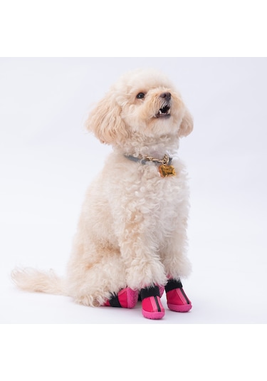 Pawstar Fuşya Köpek Ayakkabısı